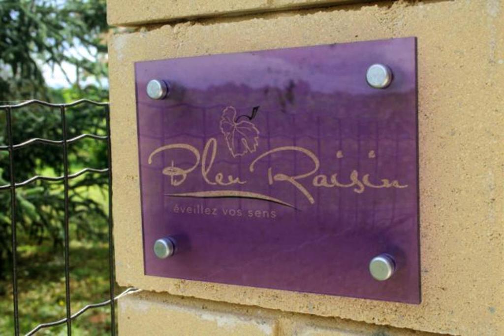 Bed and Breakfast Bleu Raisin Les Salles-de-Castillon Екстер'єр фото