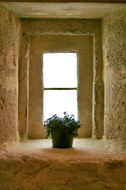 Bed and Breakfast Bleu Raisin Les Salles-de-Castillon Номер фото