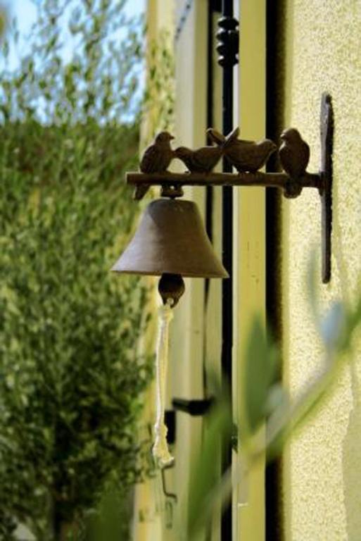 Bed and Breakfast Bleu Raisin Les Salles-de-Castillon Екстер'єр фото