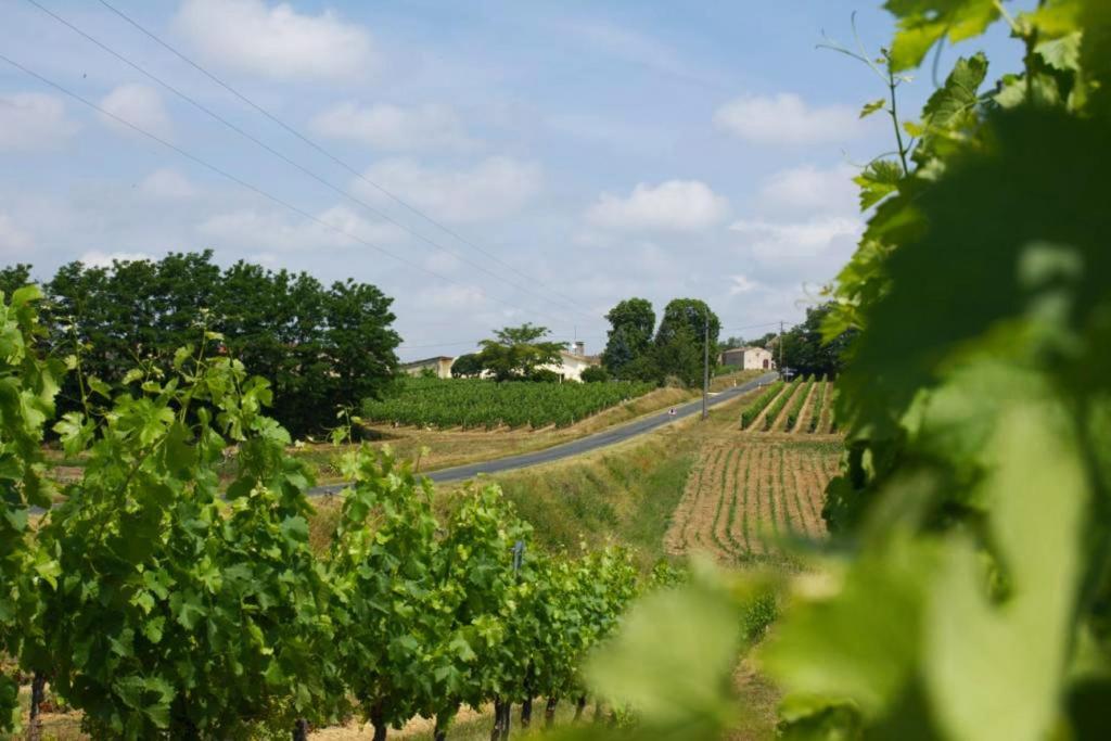 Bed and Breakfast Bleu Raisin Les Salles-de-Castillon Екстер'єр фото